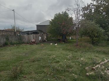 Həyət evləri və villaların satışı: Satılır: yaşayış evi və yanında fəaliyyət göstərən kiçik market binası — 5