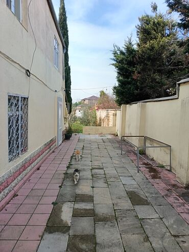 Bağ evlərinin satışı: Novxanı, 250 kv. m, 6 otaqlı, Hovuzsuz, Kombi, Qaz, İşıq — 2