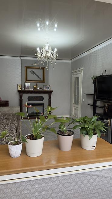 Продажа квартир: Просторная гостиная в классическом стиле. - Планировка: прямоугольное — 4