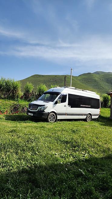 sprinter 516: Пункт назначения: Алматы, Количество мест: 20, Лицензия №: 247383 — 2