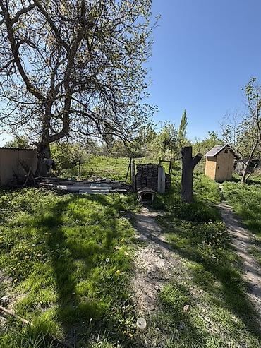 Продажа коттеджей и домов: Продаётся частный дом в селе Беловодское с благоустроенным двором и — 11