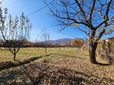 Продажа участков: 25 соток, Для строительства, Красная книга at lalafo.kg — 8 Продажа участков: 25 соток, Для строительства, Красная книга — 8