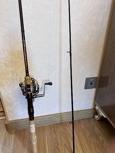 spinning: - Komplekt: 2 hissəli spinning çubuğu + Daiwa Samurai 3500 makarası — 2
