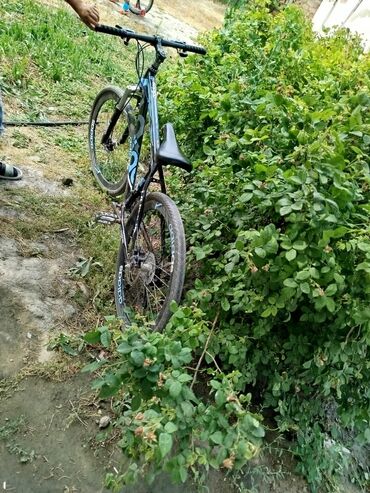 Maskalar, eynəklər: Tecili satılır qiymeti 170 manat
26 liq zeg 0705412440