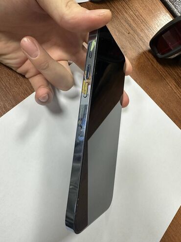 Apple iPhone: IPhone 13 Pro Max, 256 ГБ, Sierra Blue — 5