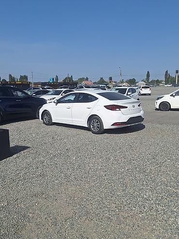 baic eu5: Hyundai Avante: 2019 г., 1.6 л, Автомат, Бензин, Седан — 5