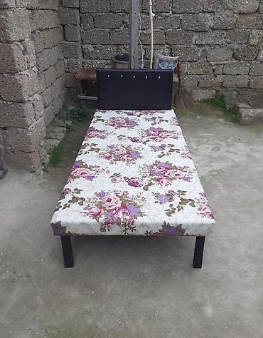 Kravat
Taza
