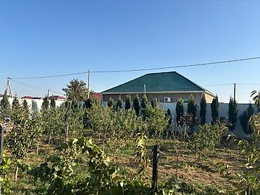 8 mikrorayon: Mehdiabad, 252 kv. m, 8 otaq, Hovuzsuz, Kombi, Qaz, İşıq — 9