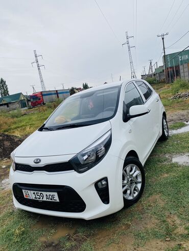 jiguli 06: Kia Morning: 2019 г., 1 л, Автомат, Бензин