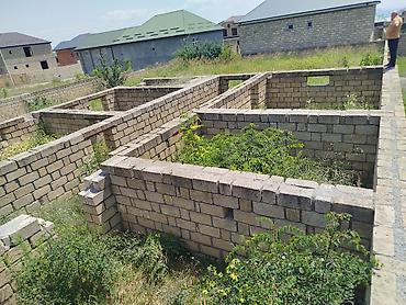 qubada torpaq sahesi satilir: 6 sot, Tikinti, Mülkiyyətçi, Kupça (Çıxarış) — 10