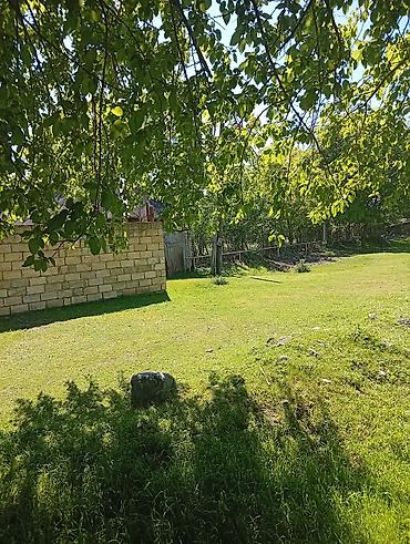 Torpaq sahələrinin satışı: 38 sot, Mülkiyyətçi, Kupça (Çıxarış) — 15