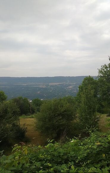 6 sot, Kənd təsərrüfatı, Mülkiyyətçi, Kupça (Çıxarış)