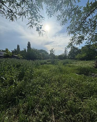 участок иссык кол: 5 соток, Для строительства, Договор купли-продажи, Красная книга — 4