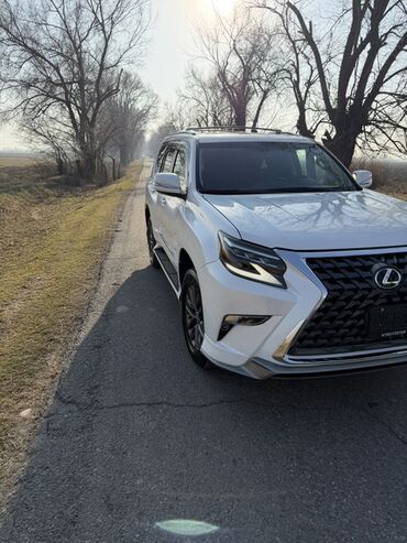 Lexus: Lexus GX: 2019 г., 4.6 л, Автомат, Бензин, Внедорожник — 5