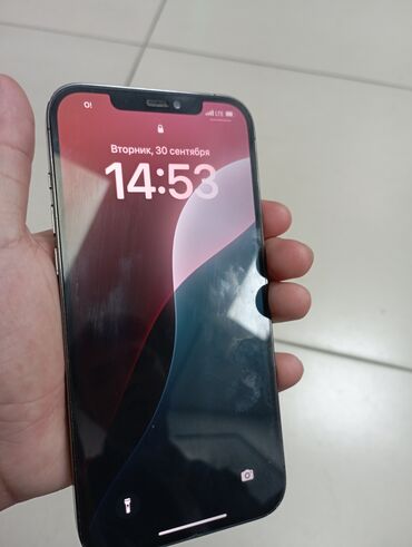 лампасная швейная машина: IPhone 12 Pro Max, 128 ГБ, Графит, 81 %