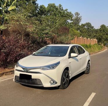 губа тойота виндом: Toyota Corolla: 2018 г., 1.8 л, Робот, Гибрид, Седан