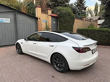 roidmi 4s: Tesla Model 3: 2021 г., Автомат, Электромобиль, Седан — 7