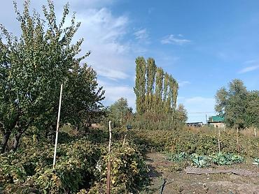 Продажа коттеджей и домов: В продаже Дом с огородом 18 соток . Для более детального обсуждения — 5