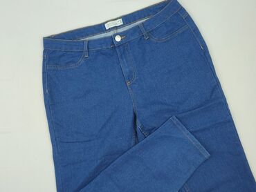 dżinsy do marynarki: Janina, Jeans for women, size 3XL (EU 46)