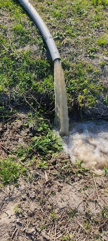 Torpaq sahələrinin satışı: 93 sot, Kənd təsərrüfatı — 10