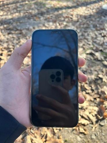 Apple iPhone: IPhone 12 Pro, Графит — 6