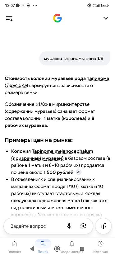 собаки лайки: Продам за 1000 сомов хотя рыночная стоимость 1.500 сомов — 3