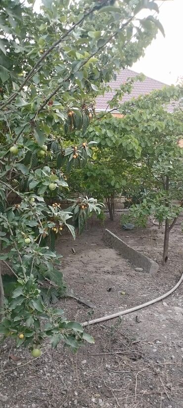 Həyət evləri və villaların satışı: 3 otaqlı, 120 kv. m, Kredit yoxdur, Orta təmir -da lalafo.az — 11 Həyət evləri və villaların satışı: 3 otaqlı, 120 kv. m, Kredit yoxdur, Orta təmir — 11