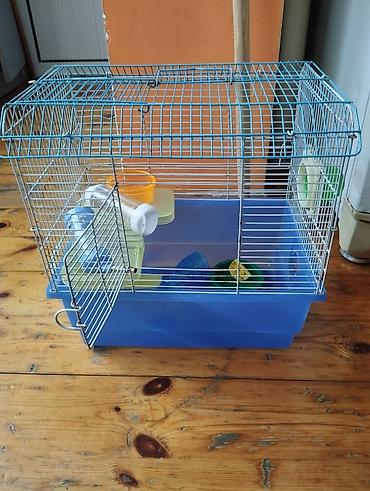 Gəmiricilər: Hamster,qus qəfəsidir.təcili satılır deyə ucuz satıram və 1cə parçası — 1