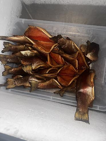 копчения рыбы: 🐟 ФОРЕЛЬ ХОЛОДНОГО КОПЧЕНИЯ Натуральная форель собственного — 3