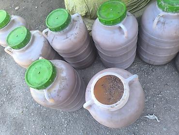 лук зеленый цена за 1 кг: Удобрение — 2