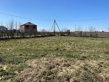 Torpaq sahələrinin satışı: Kənd təsərrüfatı — 8