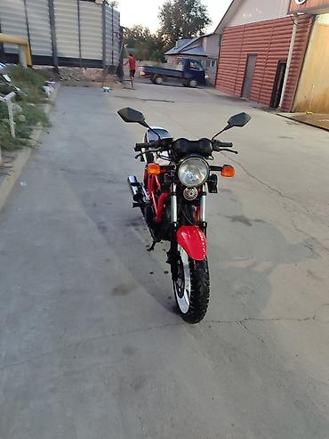 продам кенгурятник: Спортбайк Honda, 450 куб. см, Бензин, Взрослый, Новый — 2