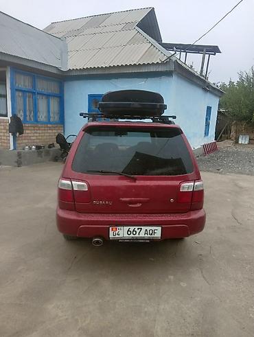 Subaru Forester: 2000 г., 2 л, Автомат, Бензин, Универсал