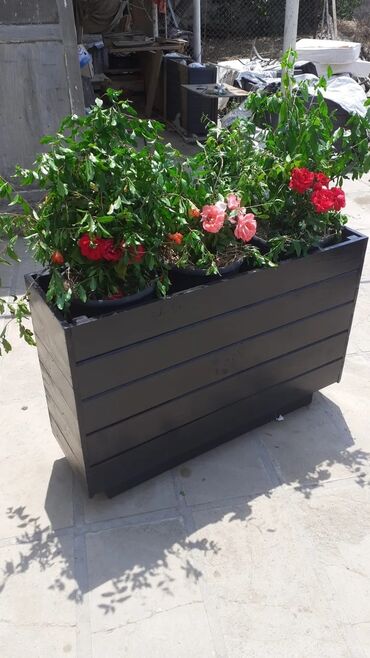 Sifarişlə digər bağ mebeli: Zəmanətsiz, Kredit yoxdur — 1