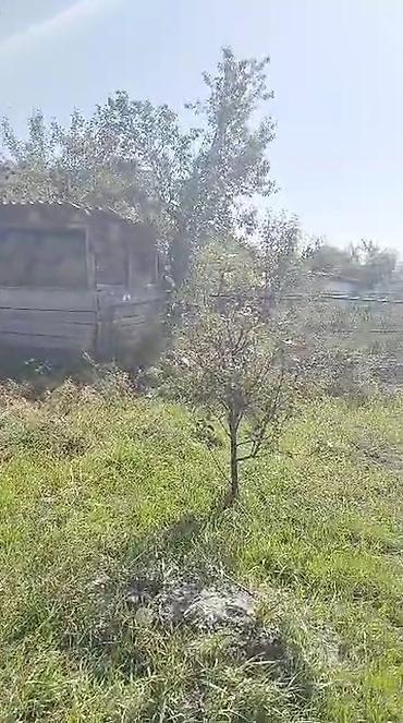 Продажа коттеджей и домов: Продается дом с приусадебным участком и госактом на право частной — 3