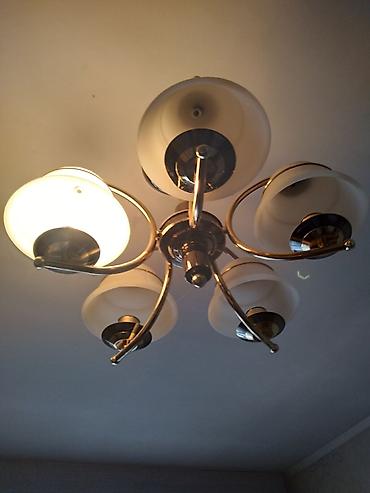 Люстры: Люстры — 5