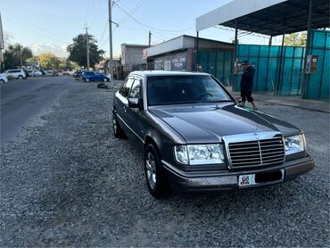 дерево на 124: Mercedes-Benz W124: 1990 г., 2.3 л, Механика, Бензин, Седан