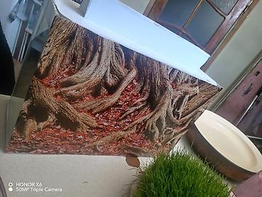 Akvariumlar: Şüşə akvarium Mənzərəli fonu var qiymət sondur - Şəffaf şüşədən — 3