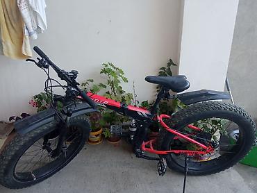 29 Ölçülü Enli təkər velosebet heç bir problemi yoxdur lalafo.az -da 29 Ölçülü Enli təkər velosebet heç bir problemi yoxdur