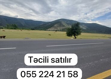 Torpaq sahələrinin satışı: 12 sot, Tikinti, Mülkiyyətçi, Kupça (Çıxarış)