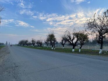 Digər kommersiya daşınmaz əmlakı: LƏNKƏRANDA. Bakı-Lənkəran magistral yolunda, Lənkəran şəhər 5 saylı — 12