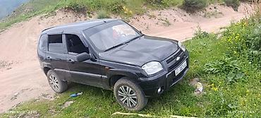 арзан нива: Chevrolet Niva: 2006 г., 1.7 л, Механика, Бензин, Кроссовер — 2
