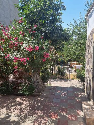 Restoran, kafelər: Yeni Günəşli V massivində yol kənarı,sahəsi 300kv/m olan,(10 sot — 10