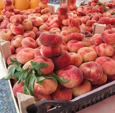 Tinglər: Məhsul: meyvə tingləri Xüsusiyyətlər: - Hər növ meyvə tingləri — 13