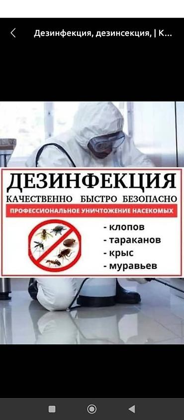 плиточные работы бишкек: Дезинфекция, дезинсекция, | Муравьи, | Квартиры — 5