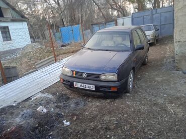 Volkswagen: Volkswagen Golf: 1994 г., 1.6 л, Механика, Бензин, Хэтчбэк