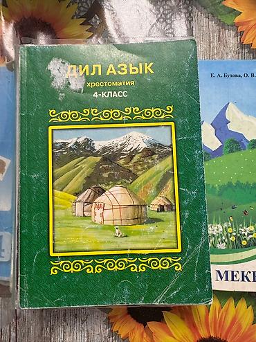 Другие комплектующие: 4-класстардын китеби 200сомдон — 3