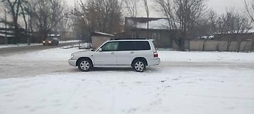Subaru: Subaru Forester: 2001 г., 2 л, Автомат, Бензин, Универсал — 6