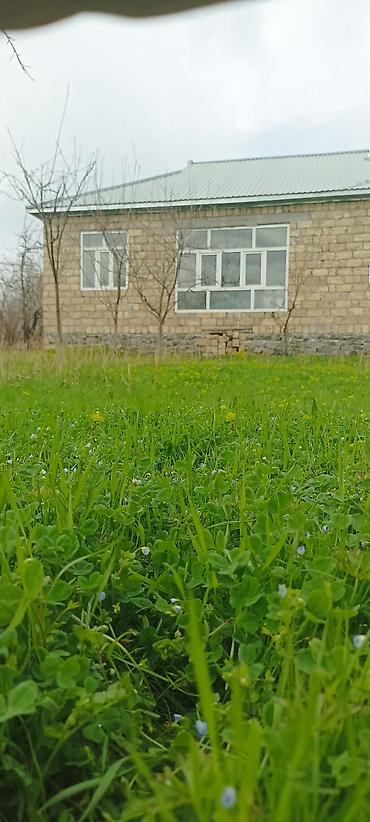 bileceri dasinmaz emlak: Qəbələ, 100 kv. m, 5 otaqlı, Hovuzsuz, İnternet — 1