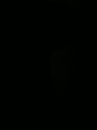 fehle: Fəhlələr